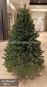 Искусственная ель «Монтерей» (Литая хвоя) от 1.5 до 2.4 м