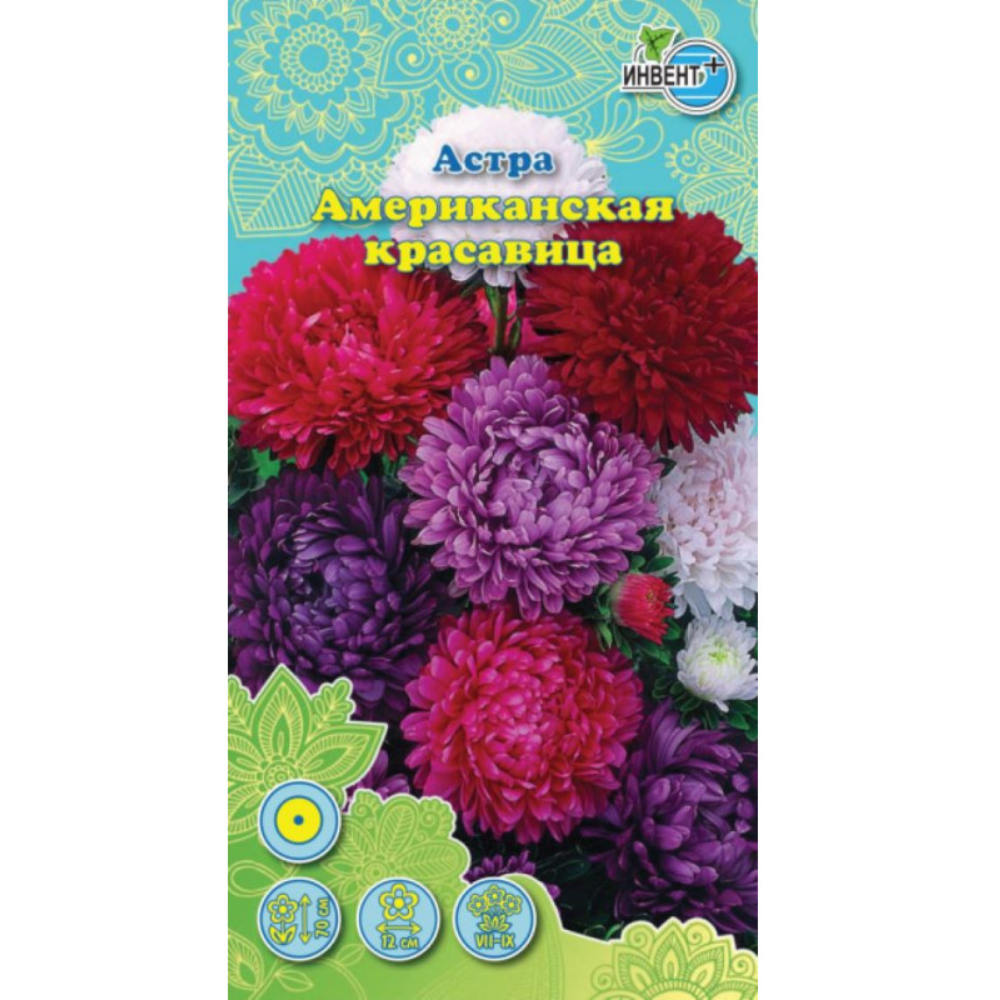 Семена Астра Американская красавица Инвент+