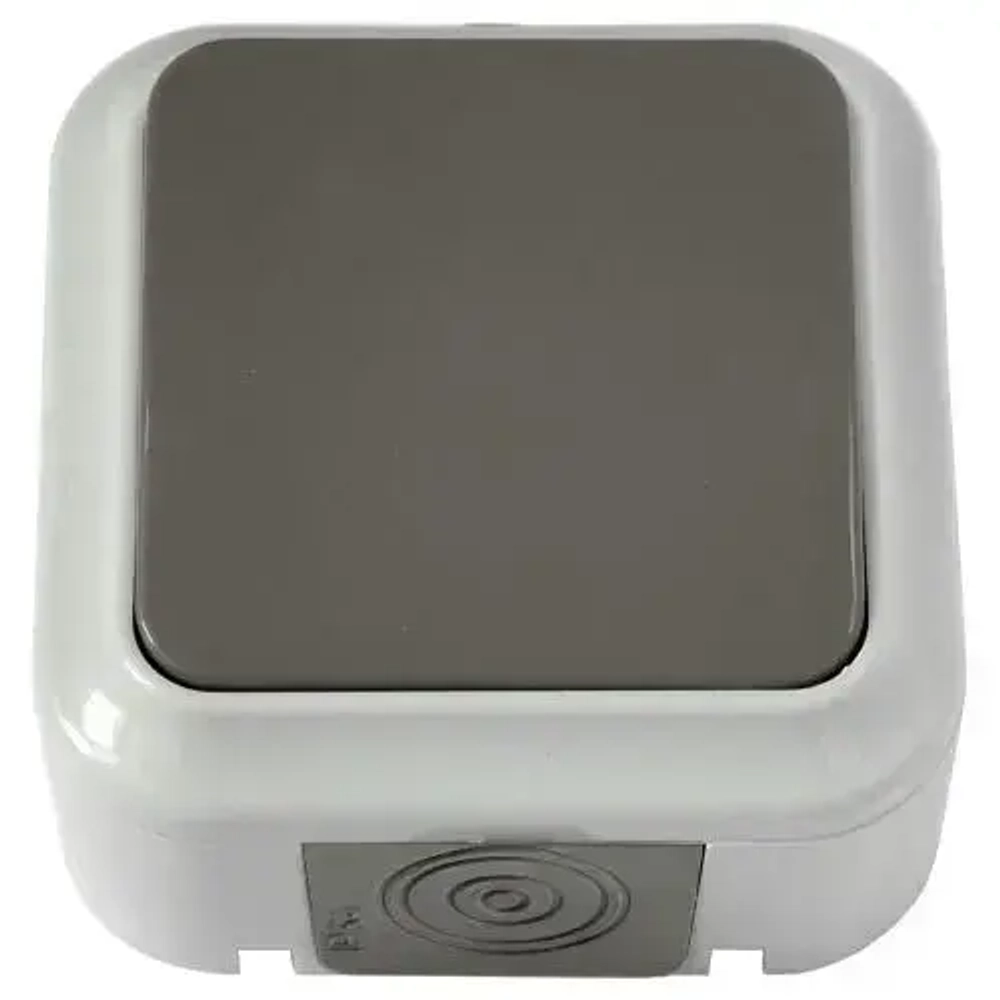 Выключатель 1-клавишный, накладной "ПРАЛЕСКА АКВА", серый