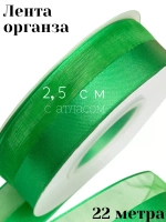 Лента органза 2,5 см с атласным краем