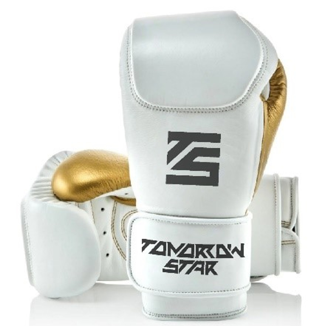 Перчатки боксерские  WHITE TS 11