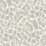 Ronald Redding Traveler