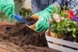 Клуб дачников и садоводов САДЭМ. Лекция №3. Комнатное цветоводство-секреты выращивания. Часть 3. Пересадка, обрезка