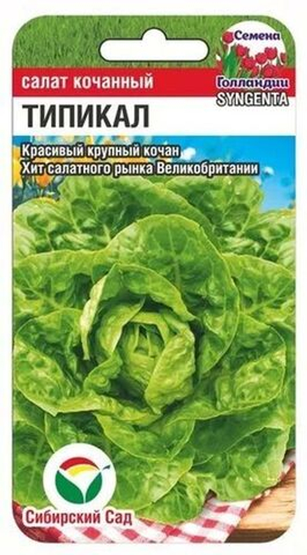 Салат Типикал 10шт (Сиб Сад)