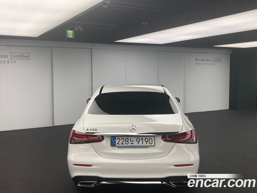 Mercedes-Benz E-Class W213 E250 AMG Line (10.2023)