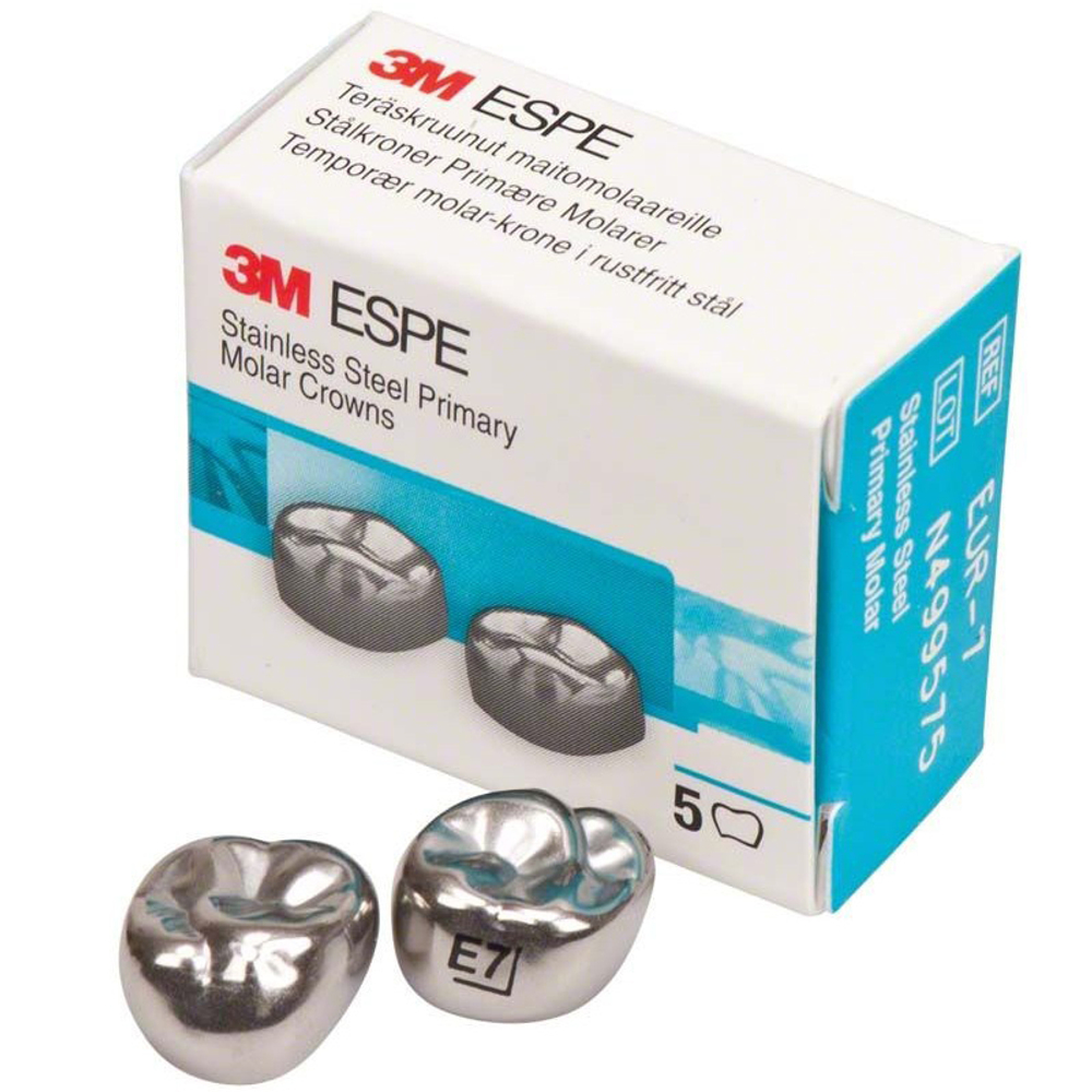 Второй верхний правый моляр, размер 7 (E-UR-7)