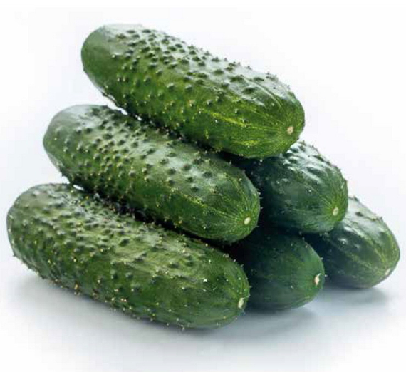 МАДРИЛЕНЕ F1 семена огурца Seminis цена – фото 7