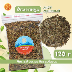 Лист облепихи.