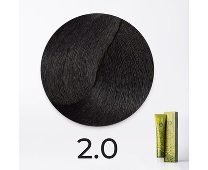 2.0 черный B.Life Color 100 мл. FV