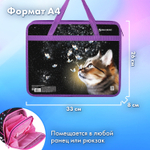 Папка на молнии с ручками BRAUBERG А4 1 отделение пластик 80 мм "Dream cat" (3 штуки в упаковке)