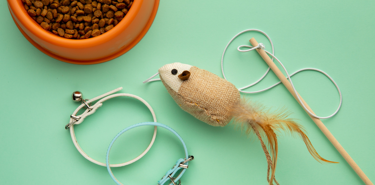 Привезли товары для животных для томской сети зоомагазинов