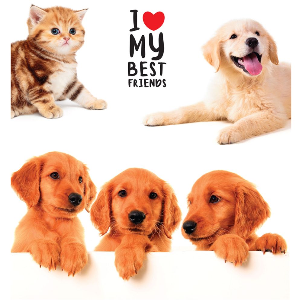 Тетрадь 48л, А5, линия, Спейс Pets