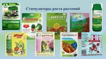 Регуляторы и стимуляторы роста
