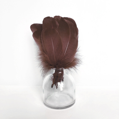 Гусиные перья темно-коричневые скругленные 20шт.
