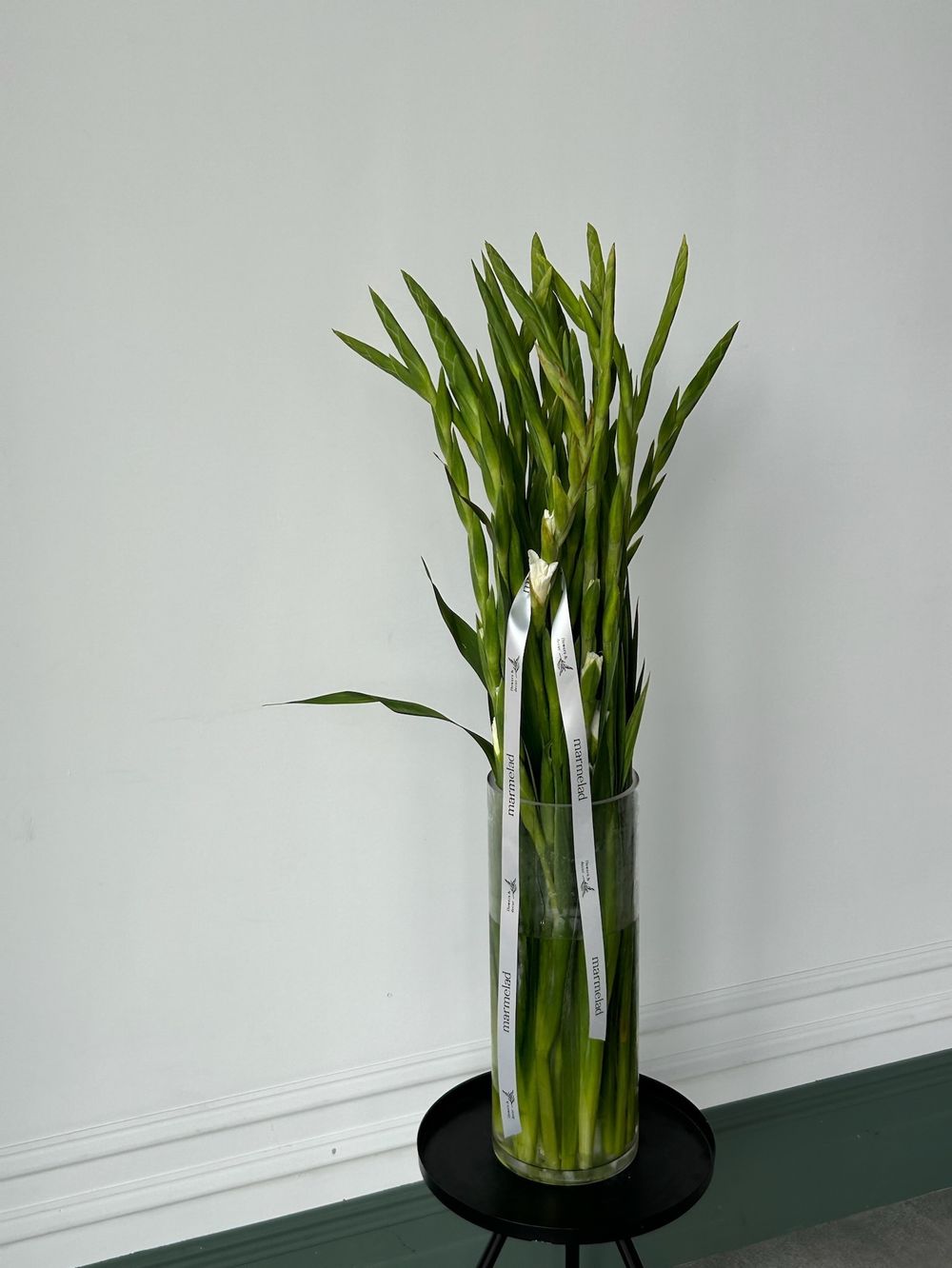 Гладиолус белый