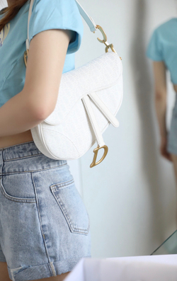 Christian Dior Saddle Bag 25 cm