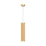 Подвесной светильник Technical P038PL-01G