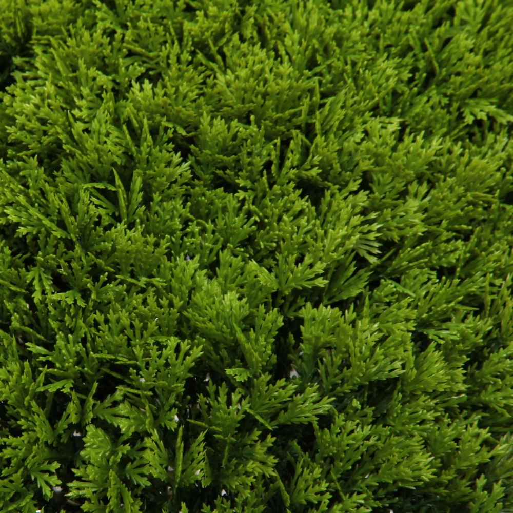 Искусственное растение шар «Самшит» туя D-40см Ultramarine