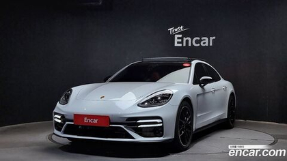 Porsche Panamera (971) 2.9 AWD Platinum Editions (10.2023)