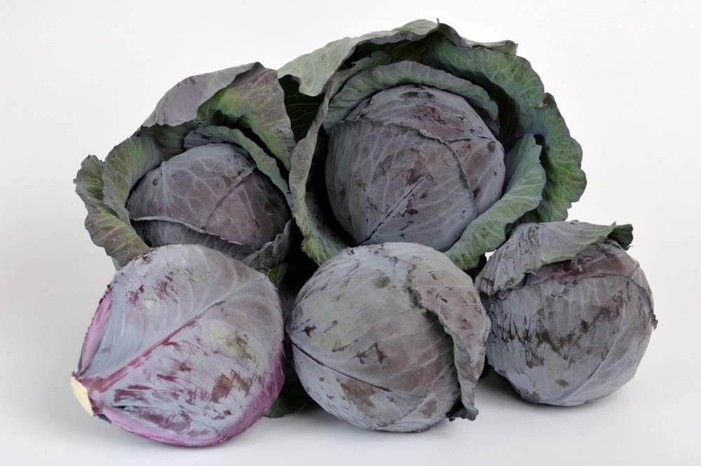 Капуста к/к Ремала F1 (50шт) Витагрин Профи