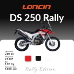 Мотоцикл эндуро Loncin DS250 Rally