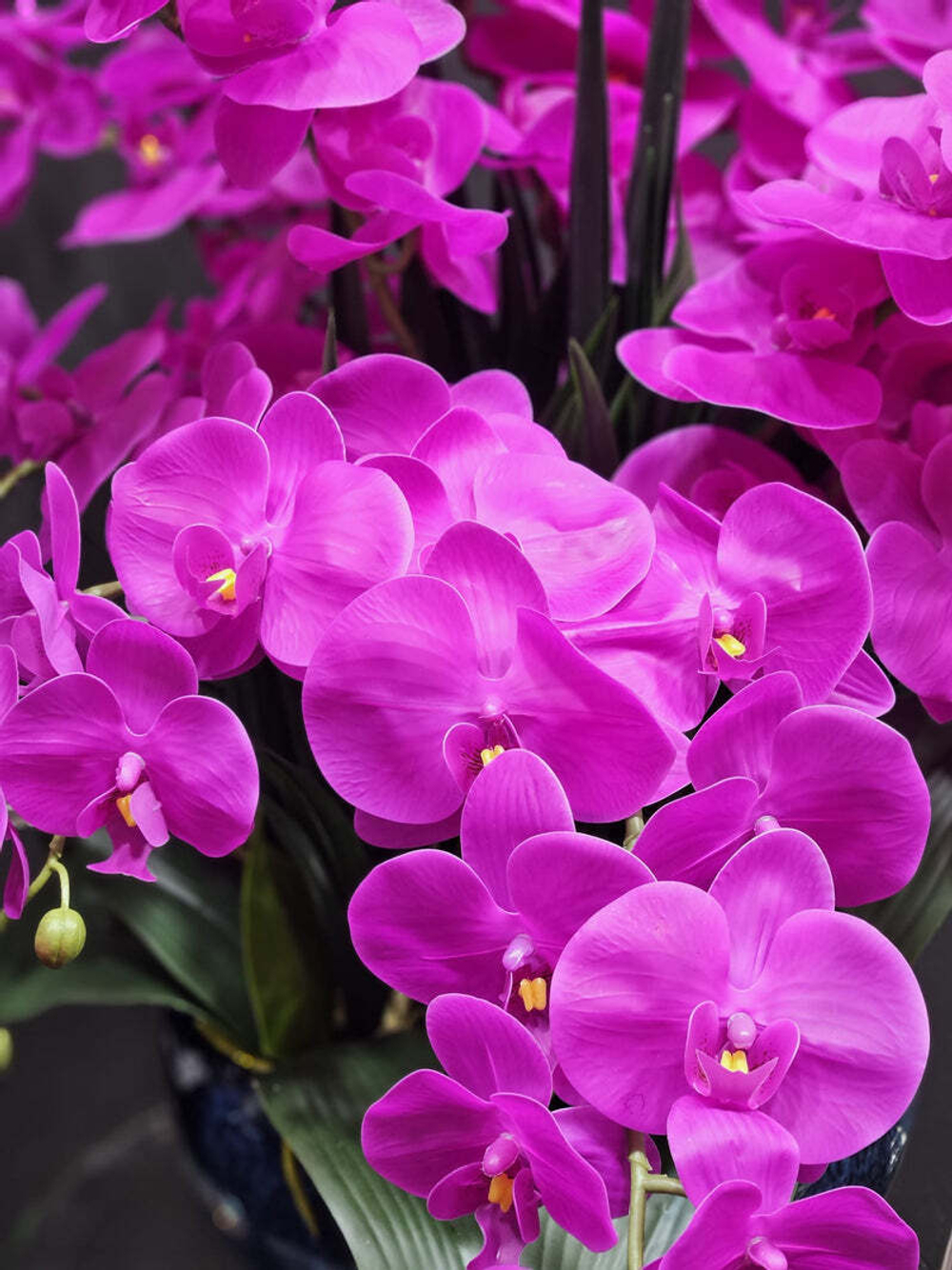 Букет ароматический Cote Noire Centerpiece Orchids Fuchsia & Gold