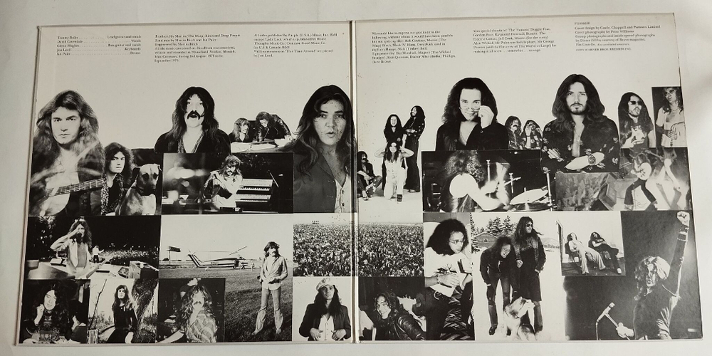 Винтажная виниловая пластинка LP Deep Purple Come Taste The Band (Japan 1975) (No Obi) (EX)