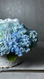 Гортензии в корзинке