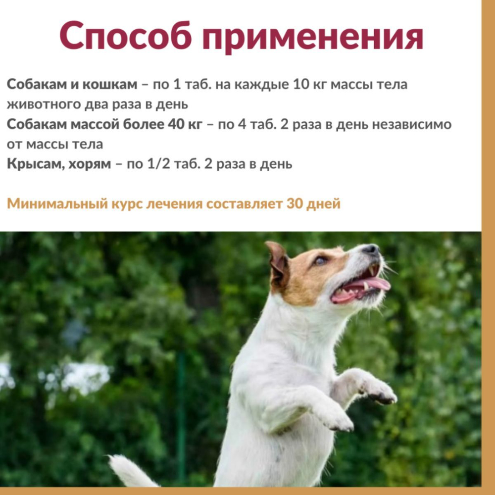 Кормовая добавка, хондропротектор нового поколения, улучшающая состояние печени и сердца у кошек, собак, крыс и хорьков АртроГликан, 30таблеток