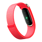 Фитнес-браслет Google Fitbit Air (Berry)