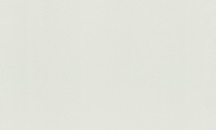 Rasсh 1.06m*10m 983593 Novela Xl