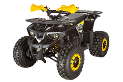 Квадроцикл AVANTIS Classic 8 New