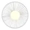 SLE6022-501-01 Светильник настенный белый/белый G9 LED 1*5W LOOM