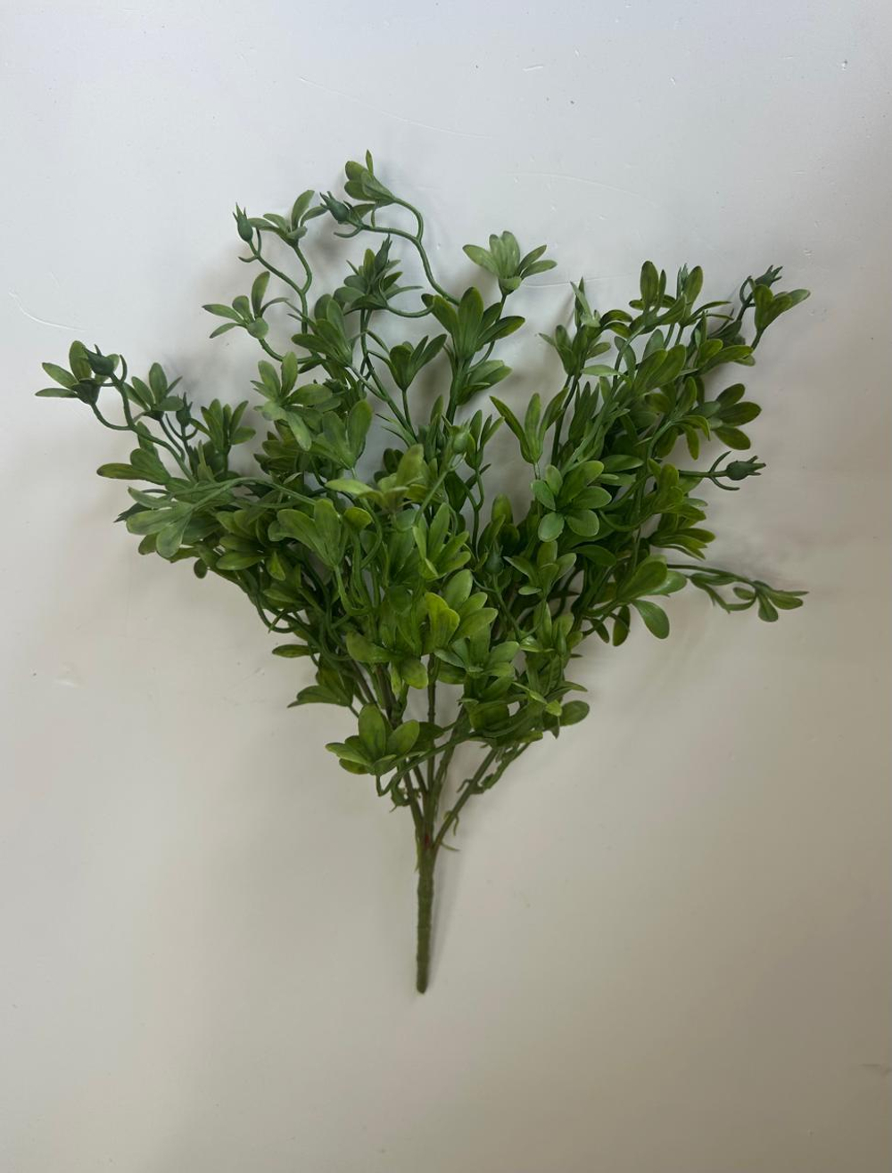 Трава декоративная куст