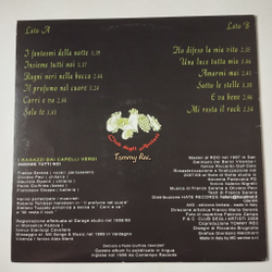 Винтажная виниловая пластинка LP I Ragazzi Dai Capelli Verdi Insieme Tutti Noi (Italy 2008)
