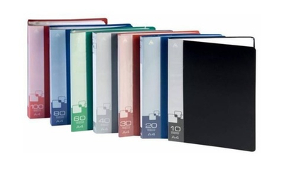 Папка 20 ф А4 Россия 0,60мм BPV20 ассорти