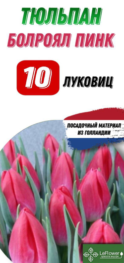Тюльпан Луковица, Болроял Пинк, 10шт