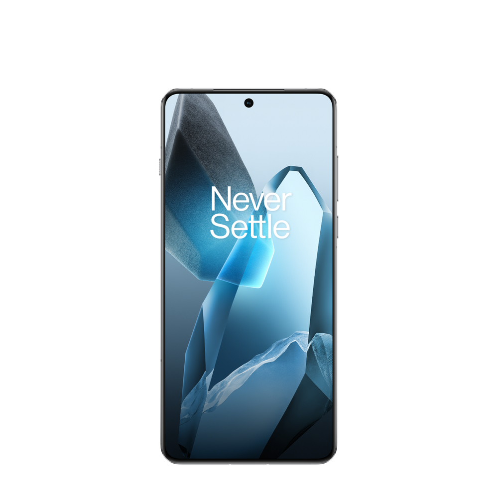 OnePlus 13 24Gb/1Tb Blue CN