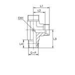 Штуцер FLC DS25 NPT 1 (корпус)