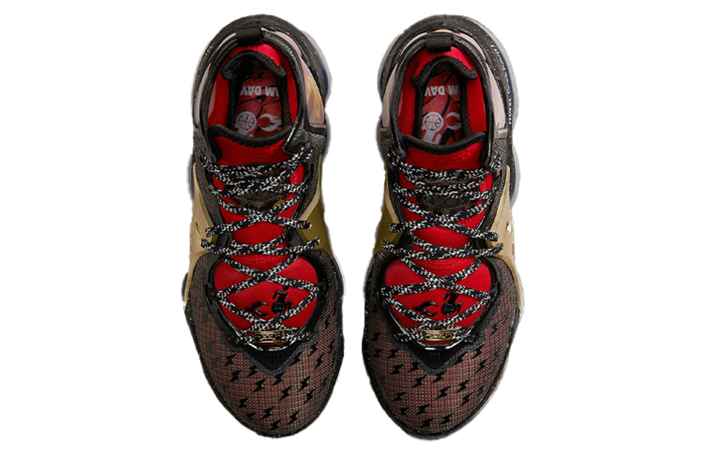 Кроссовки Nike Lebron 19 Doernbecher Freestyle 19