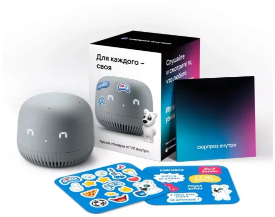 Умная колонка VK Капсула Нео (с часами), серый