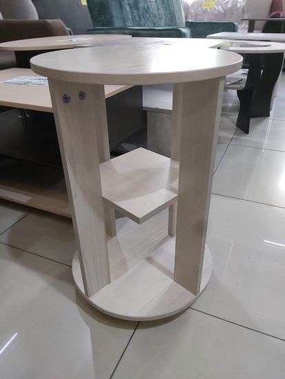 сосна астрид / сосна астрид реальное фото