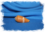 Конус кокинеус (Conus Coccineus)