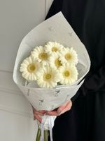 Кулек из 7 минигербер