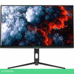 Игровой монитор Titan Army P25A2K