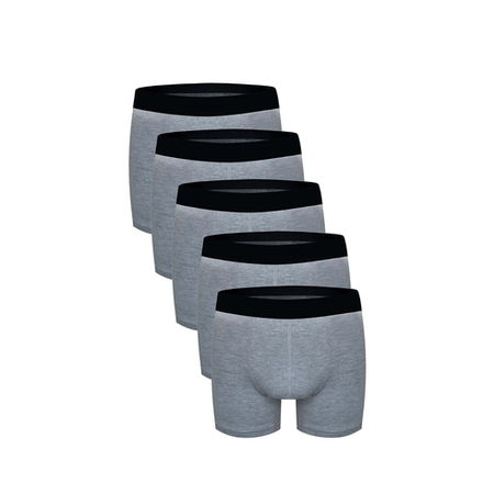 Набор мужских трусов боксеров 5в1 серые DARKZONE DZN5555GR