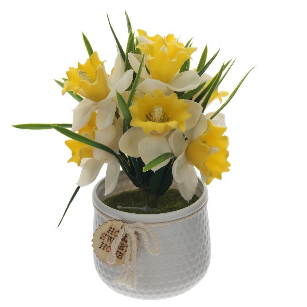 GAEM Цветочная композиция "Нарцисс", L15 W15 H23 см