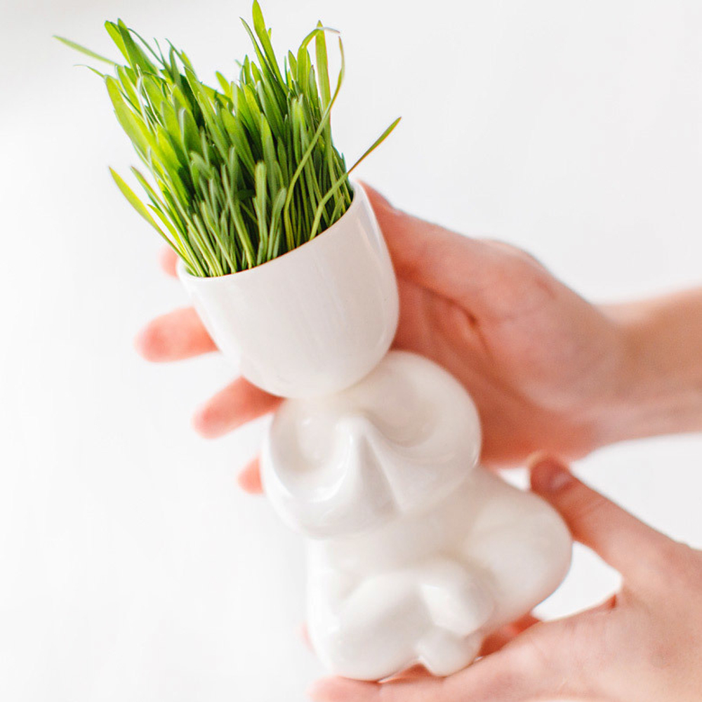 Набор для выращивания eco Йог