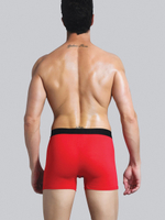 Классические боксеры