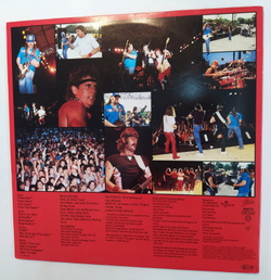 Molly Hatchet Double Trouble Live 2LP